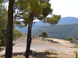 Valle de Leiva-Perdiz 2010